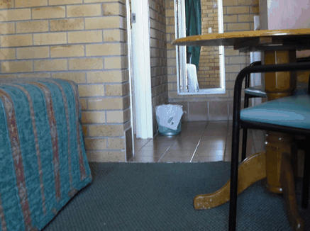 Dragon  Phoenix Motel - Coogee Beach Accommodation