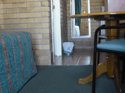 Dragon & Phoenix Motel - Coogee Beach Accommodation 0