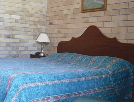 Dragon & Phoenix Motel - Coogee Beach Accommodation 3