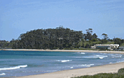 Mollymook Cove Apartments - Coogee Beach Accommodation 1