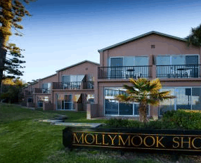 Mollymook Shores Motel - Coogee Beach Accommodation 0