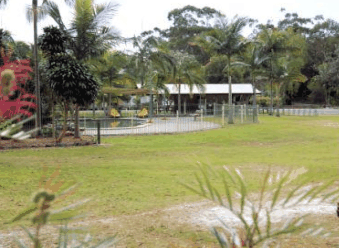 Minnie Water Holiday Park - Coogee Beach Accommodation 5