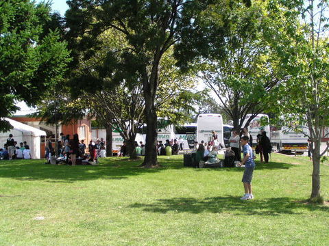 Canberra Carotel Motel - Coogee Beach Accommodation 6