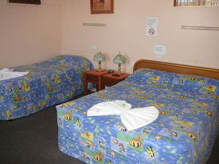 Civic Motel Grafton - Coogee Beach Accommodation 2