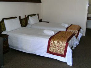 Molly Morgan Motor Inn - Coogee Beach Accommodation 3