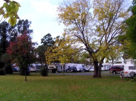 Poplar Tourist Park - Coogee Beach Accommodation 2