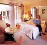 Sydney Palm Court Motor Inn - Coogee Beach Accommodation
