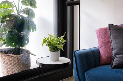 Urban Rest-Home Richmond - Coogee Beach Accommodation 13