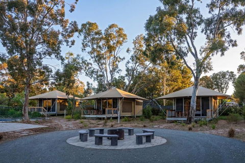 Discovery Parks Barossa Valley - Coogee Beach Accommodation 0
