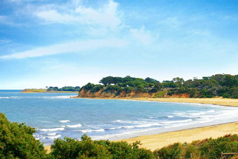 Wyndham Resort Torquay - Coogee Beach Accommodation 15