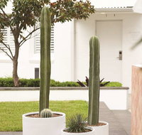 Adina Apartment Hotel Chippendale - Coogee Beach Accommodation