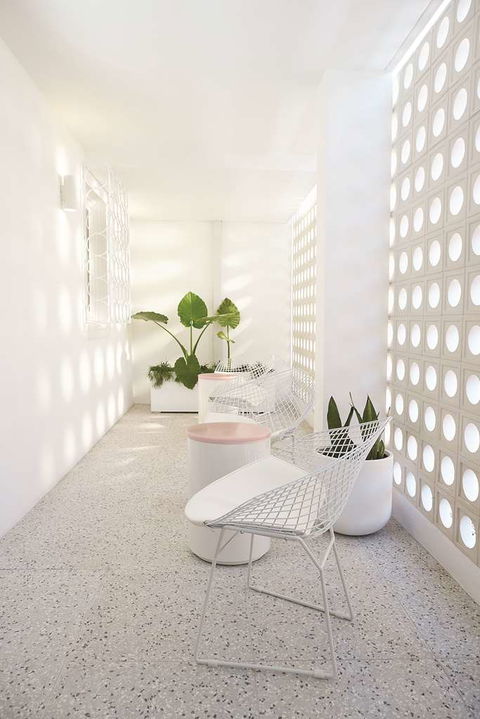 Adina Apartment Hotel Chippendale - Coogee Beach Accommodation 3