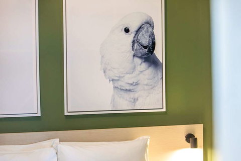 Nightcap at Exeter Hotel - Coogee Beach Accommodation 8