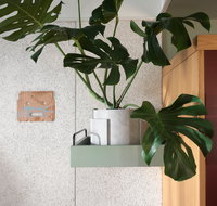 ACE Hotel Sydney - Coogee Beach Accommodation