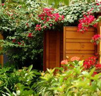 Pink Flamingo - Coogee Beach Accommodation