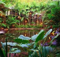 Daintree Eco Lodge  Spa - Coogee Beach Accommodation