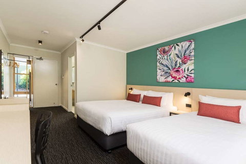 NIghtcap at Balaclava Hotel - Coogee Beach Accommodation 2