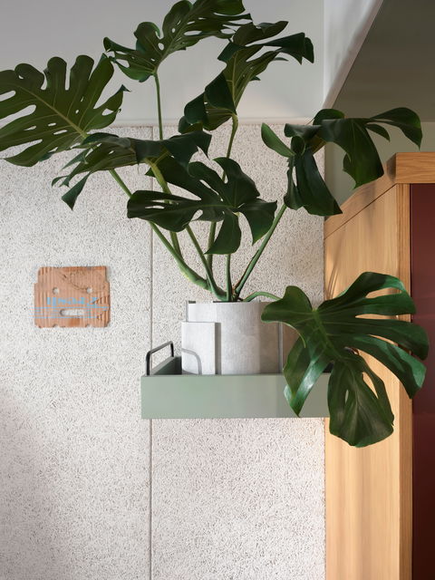 ACE Hotel Sydney - Coogee Beach Accommodation 0