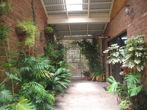 Edge Of The Forest - Coogee Beach Accommodation 1