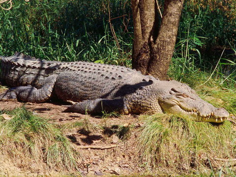 Novotel Darwin Atrium - Coogee Beach Accommodation 16