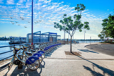 Goldsborough Place - Coogee Beach Accommodation 2