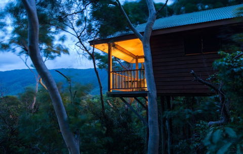 Thala Beach Nature Reserve - Coogee Beach Accommodation 0