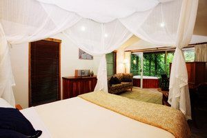 Daintree Eco Lodge & Spa - Coogee Beach Accommodation 1