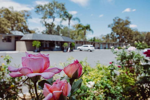 Artesian Spa Motor Inn - Coogee Beach Accommodation 2