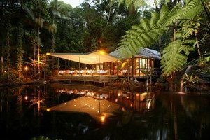 Daintree Eco Lodge & Spa - Coogee Beach Accommodation 2