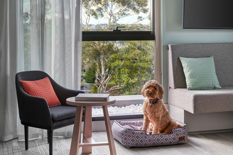 Element Melbourne Richmond - Coogee Beach Accommodation 2