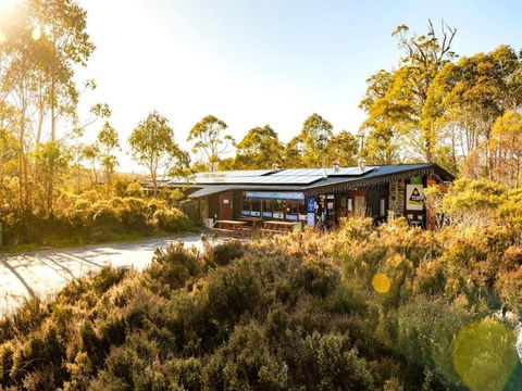 Discovery Parks Cradle Mountain - Coogee Beach Accommodation 1