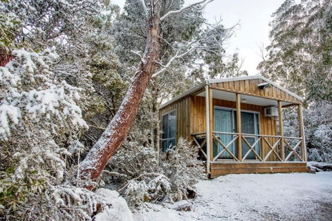 Discovery Parks Cradle Mountain - Coogee Beach Accommodation 2
