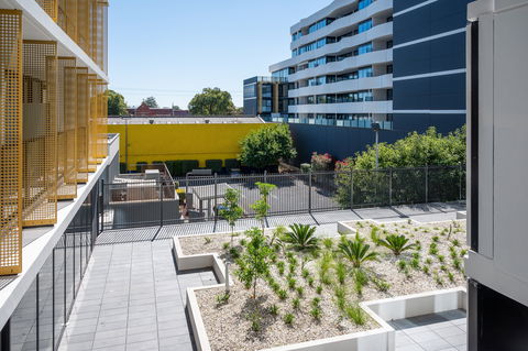 Oros Plus Hotel - Coogee Beach Accommodation 2