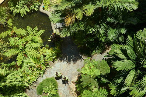 DoubleTree by Hilton Cairns - Coogee Beach Accommodation 2