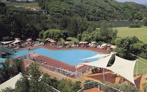 Opal Cove Resort - Coogee Beach Accommodation 0
