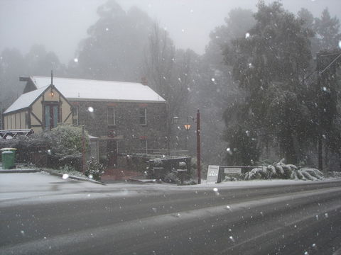 Adeline Bed & Breakfast - Coogee Beach Accommodation 1