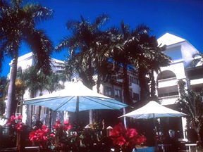 Alamanda Palm Cove - Coogee Beach Accommodation 1