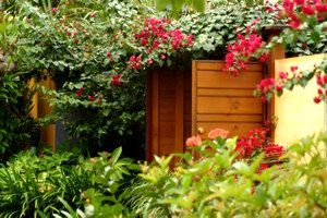 Pink Flamingo - Coogee Beach Accommodation 0