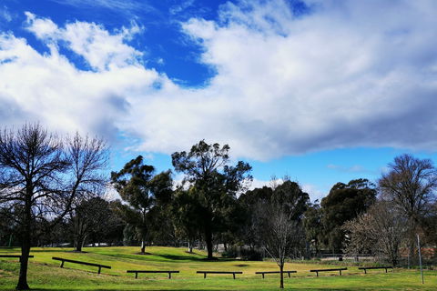 Governor Macquarie Motor Inn - Coogee Beach Accommodation 1