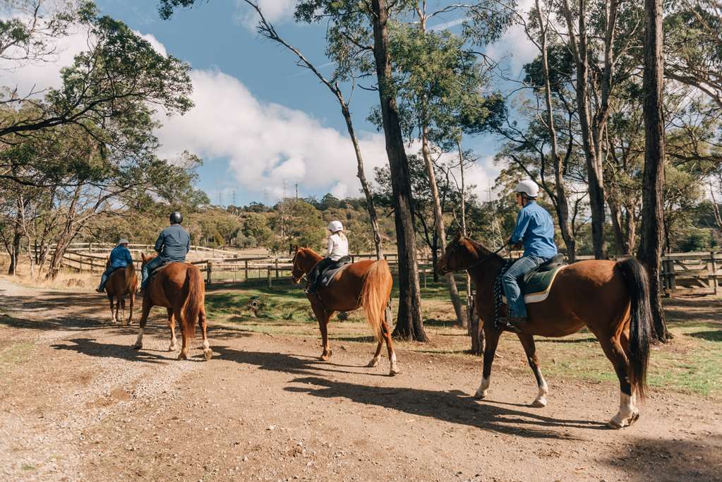 Prospect Vale TAS Coogee Beach Accommodation