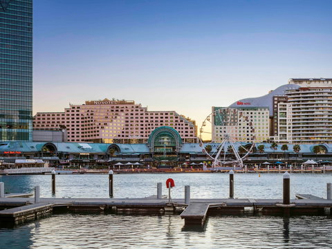 Novotel Sydney on Darling Harbour - Coogee Beach Accommodation 1