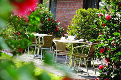 Hotel Bruce County - Coogee Beach Accommodation 2