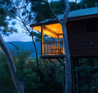 Thala Beach Nature Reserve - Coogee Beach Accommodation