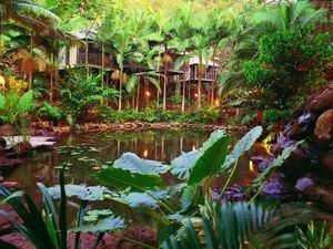 Daintree QLD Coogee Beach Accommodation