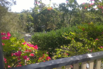 Linley House with Coogee Beach Accommodation