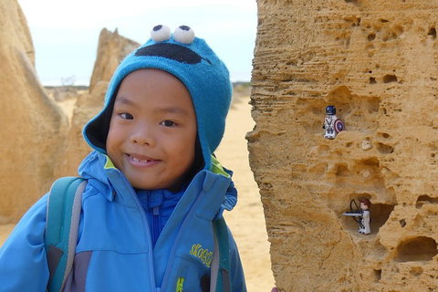 Private, Luxury Pinnacles Tour: Stargazing, Sand-boarding & Sightseeing - Coogee Beach Accommodation 1