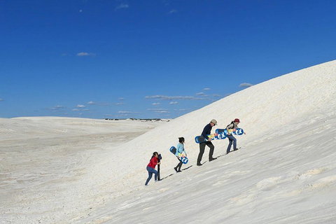 Private, Luxury Pinnacles Tour: Stargazing, Sand-boarding & Sightseeing - Coogee Beach Accommodation 4
