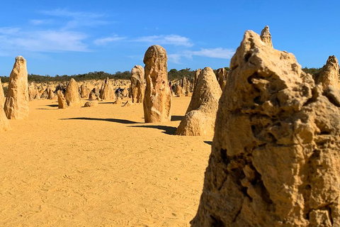 Pinnacles Desert (Private) Day Tour - Coogee Beach Accommodation 0