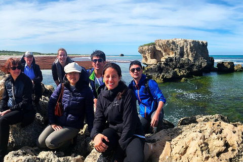 Pinnacles Desert (Private) Day Tour - Coogee Beach Accommodation 4