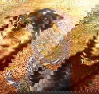 Perth Kids Explorer Private Day Tour - Coogee Beach Accommodation